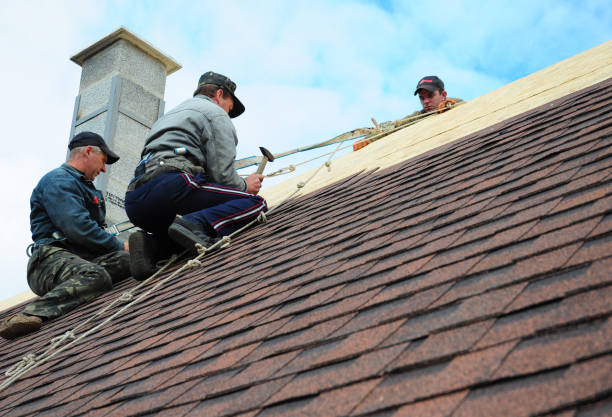 Best Storm Damage Roof Repair  in Luther, OK