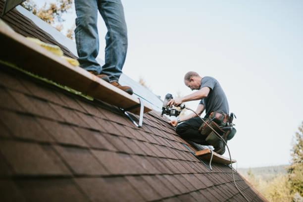 Best Roof Gutter Cleaning  in Luther, OK
